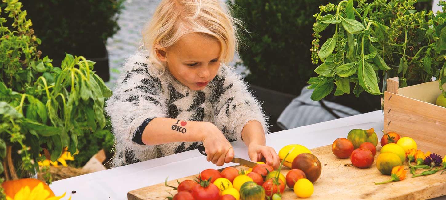 Nordjysk Madfesitval i Aalborg