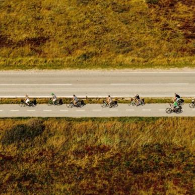 Gruppe der cykler i Skagen